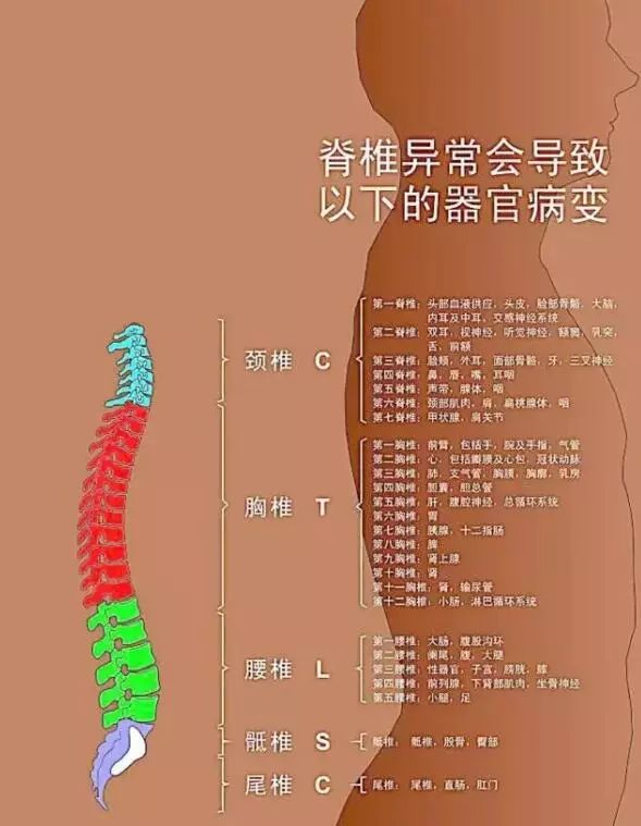 脊柱相关疾病培训正骨手法培训班