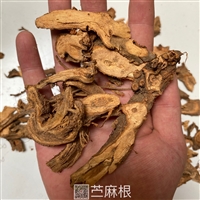 供应苎麻根苎麻根批发零售