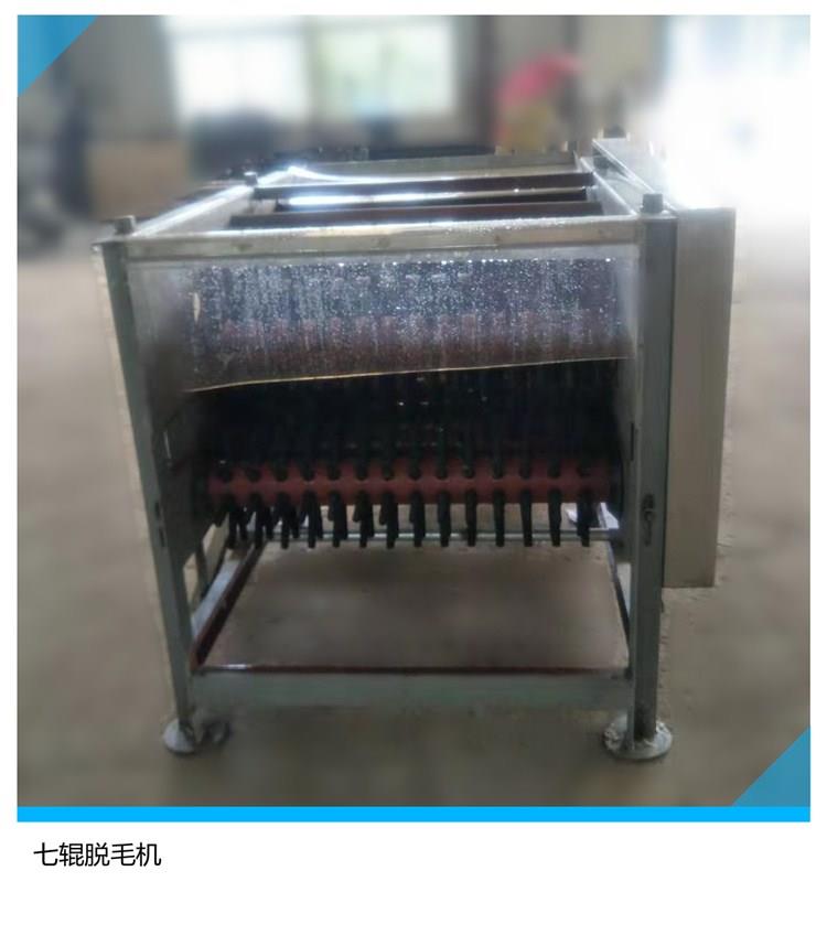 诸城科源机械鸡鸭鹅脱毛机七辊脱毛机
