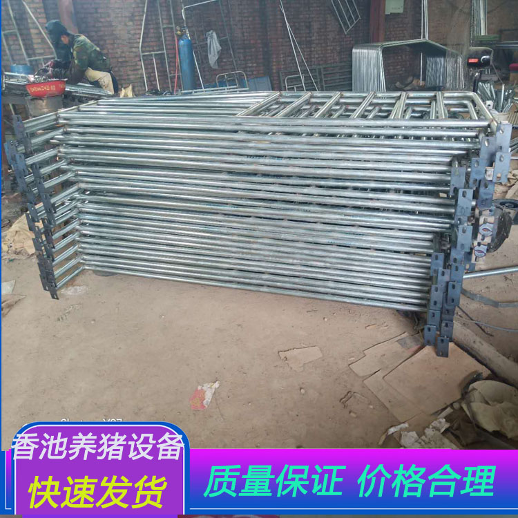 自动化母猪产床,配套饮水设备双体产床,产床图片-香池养猪设备