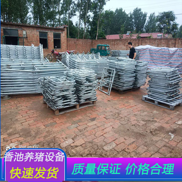 自动化母猪产床,配套饮水设备双体产床,产床图片-香池养猪设备