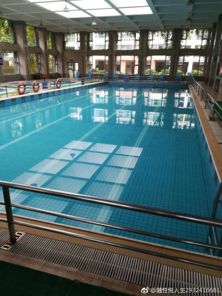 杭州标准游泳池设备 设计游泳池