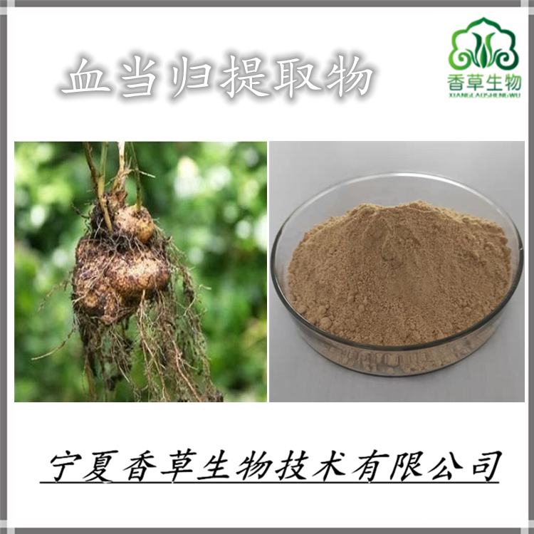 血当归提取物大黄素供应牛西西提取物浓缩粉西当归提取物