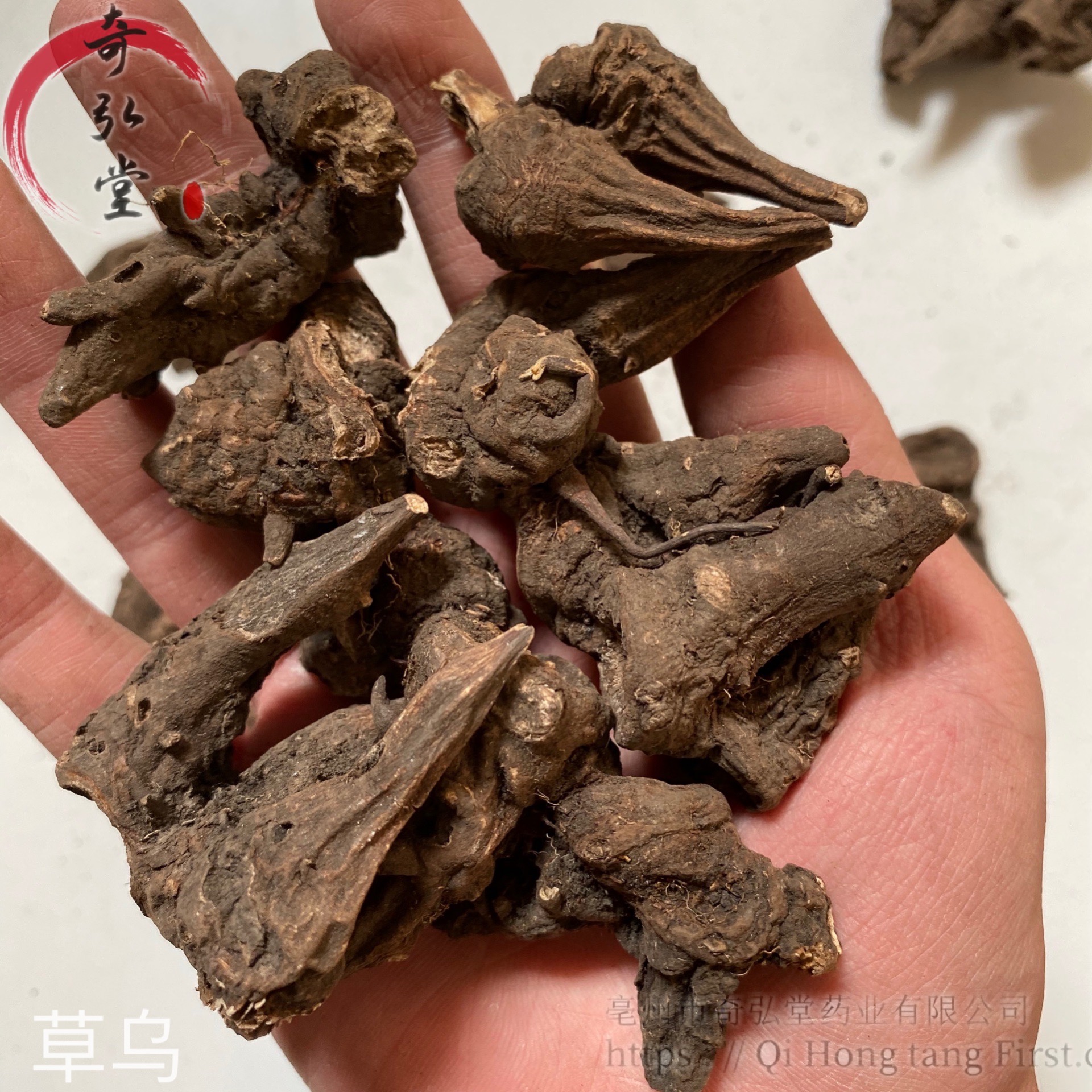 草乌   拼音cǎo wū   别名乌头,五毒根   来源本品为毛茛科植物