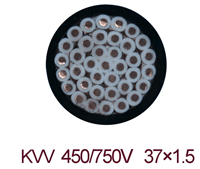 控制电缆KVVP2塑料电源线