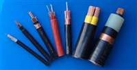 ZCKVVP2-22塑料电源线阻燃电缆