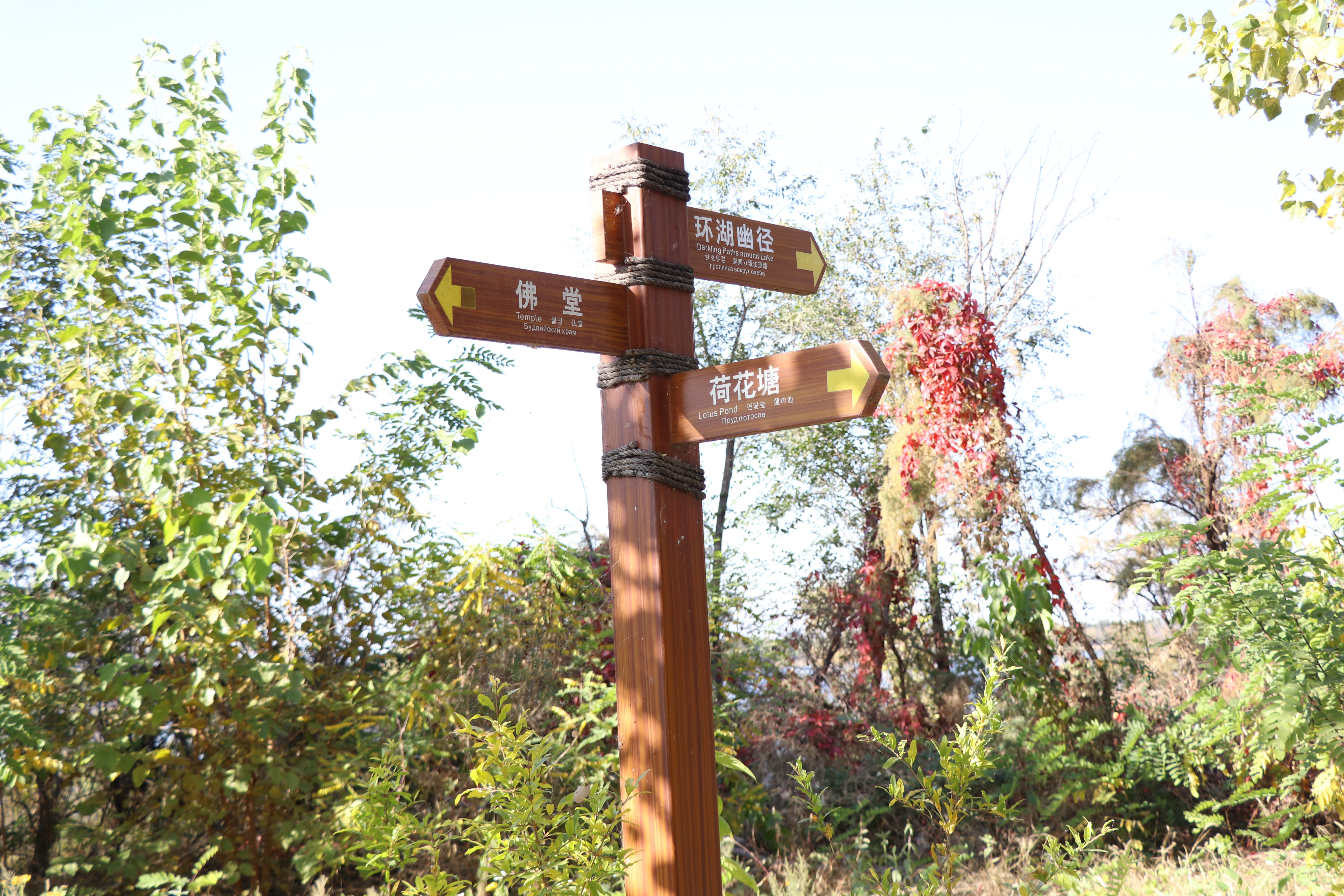 旅游景区指路牌不锈钢仿石材蓝海标识厂家