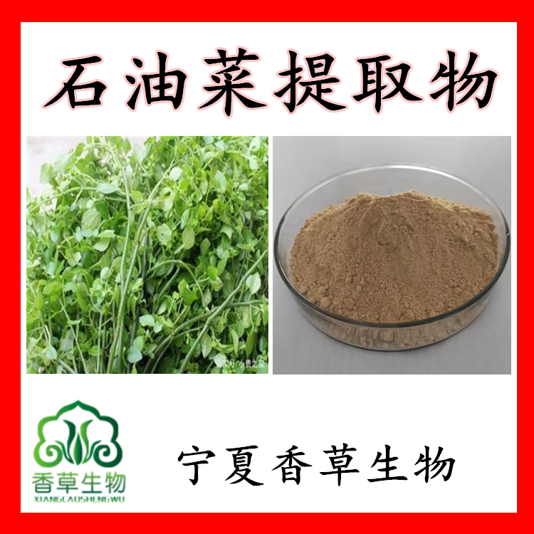 石油菜提取物多糖 宁夏石油菜粉原粉 供应石花菜提取物速溶粉