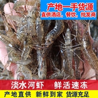 小河虾小白虾新鲜活虾速冻生冷冻虾淡水青虾明虾淡水产河虾供