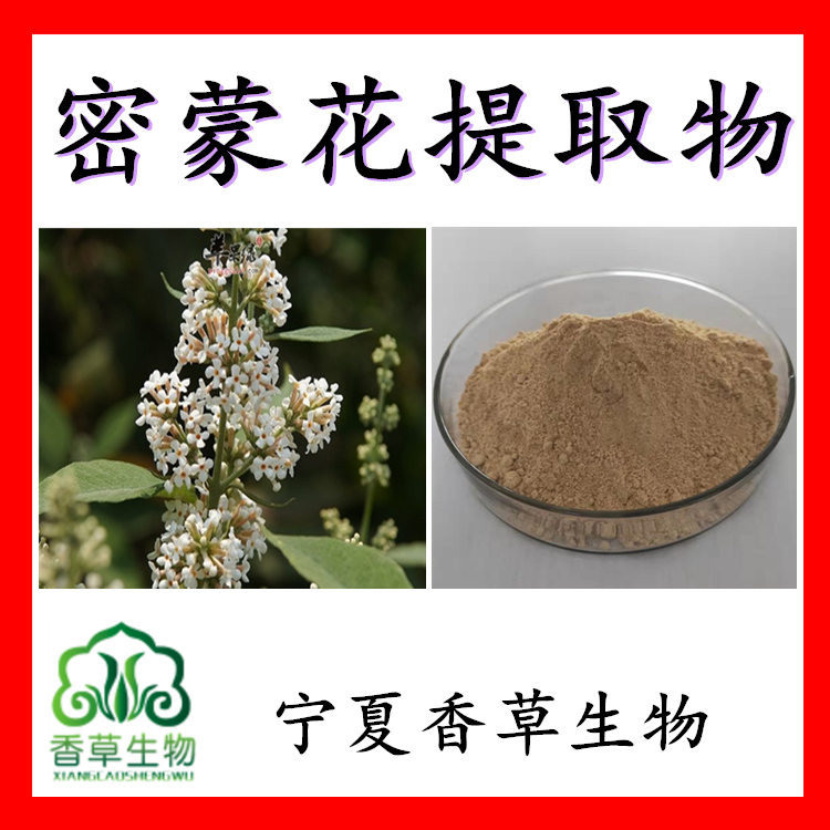 密蒙花提取液密蒙花提取物密蒙花粉速溶粉