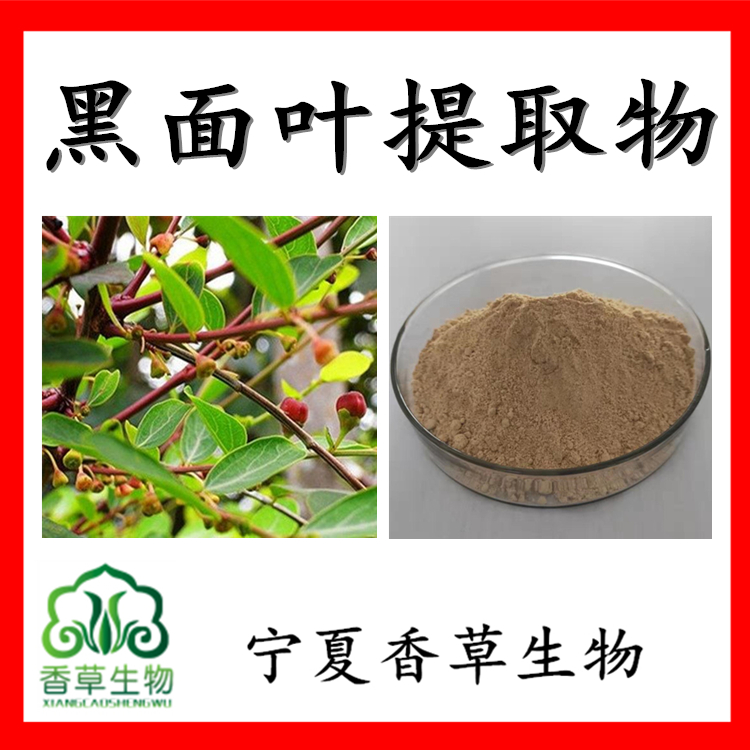 黑面叶提取物原粉黑面叶速溶粉浸膏粉小柿子叶提取物