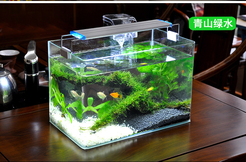 真水草金鱼缸造景套餐客厅小型桌面玻璃生态装饰观赏水族箱乌龟缸