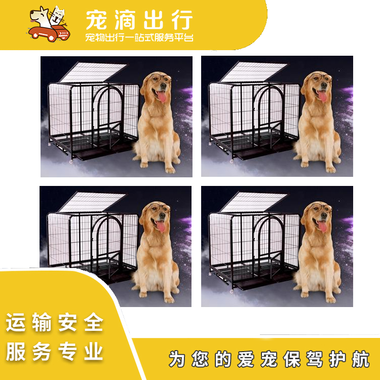 宠物托运宠物托运费用省内运输宠物宠物长短途运输安全无忧