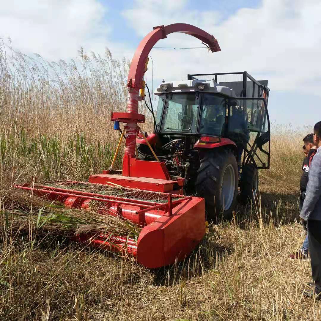 大型改装青储机玉米秸秆倒伏收割青储机地滚刀捡拾粉碎收割