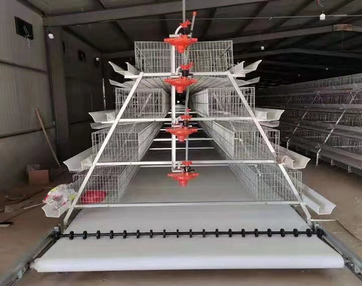 皮带清粪 鸡舍专用清粪带
