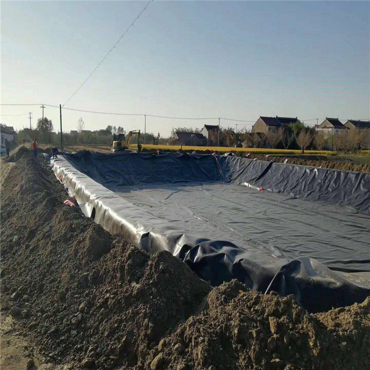 沼气池土工膜,氧化塘土工膜,防渗土工膜厂家供应 可包施工