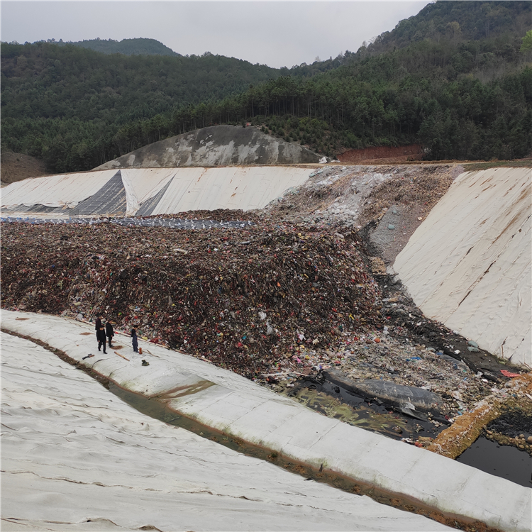 非正规垃圾填埋场治理 垃圾填埋场土石方施工方案