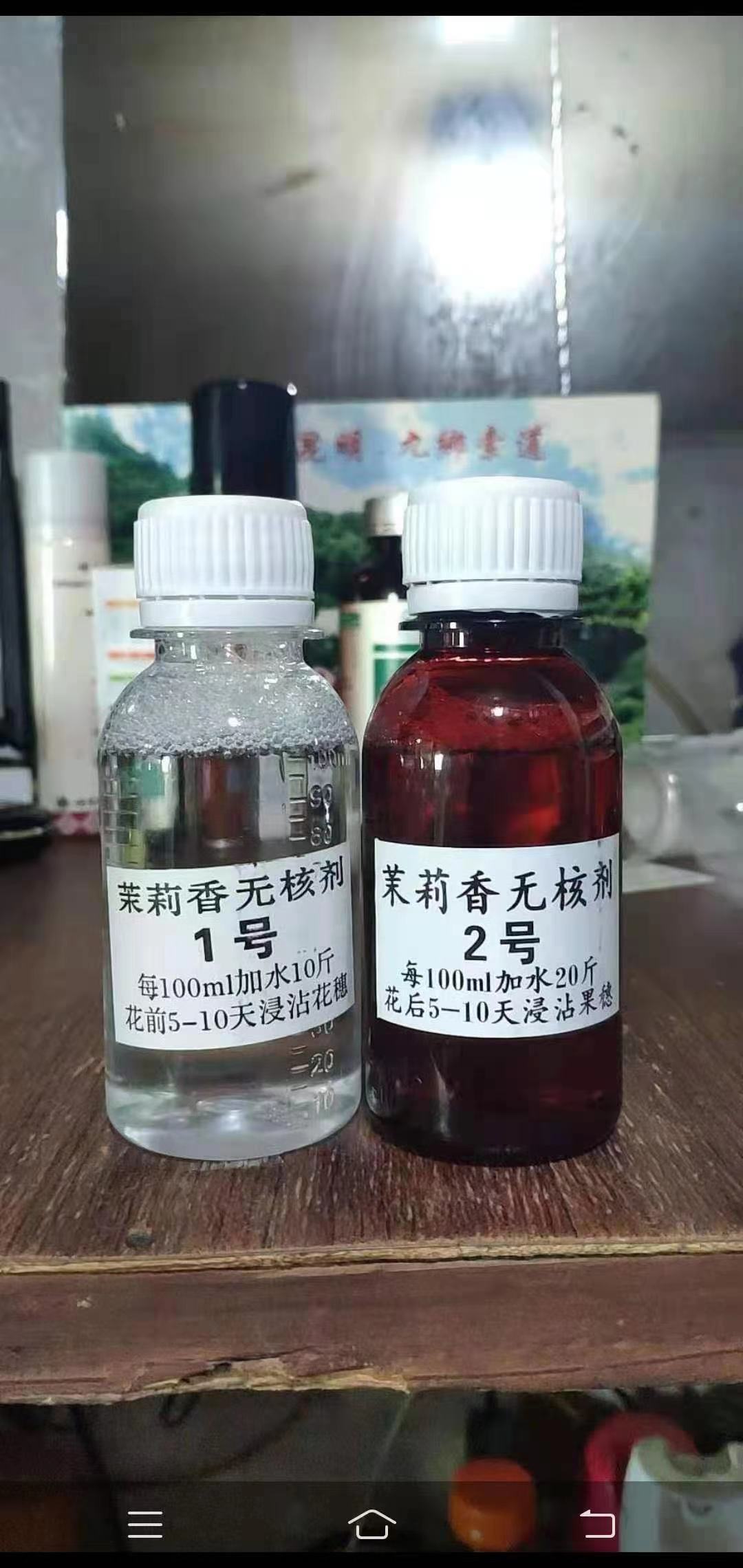 着色香葡萄茉莉香葡萄无核处理