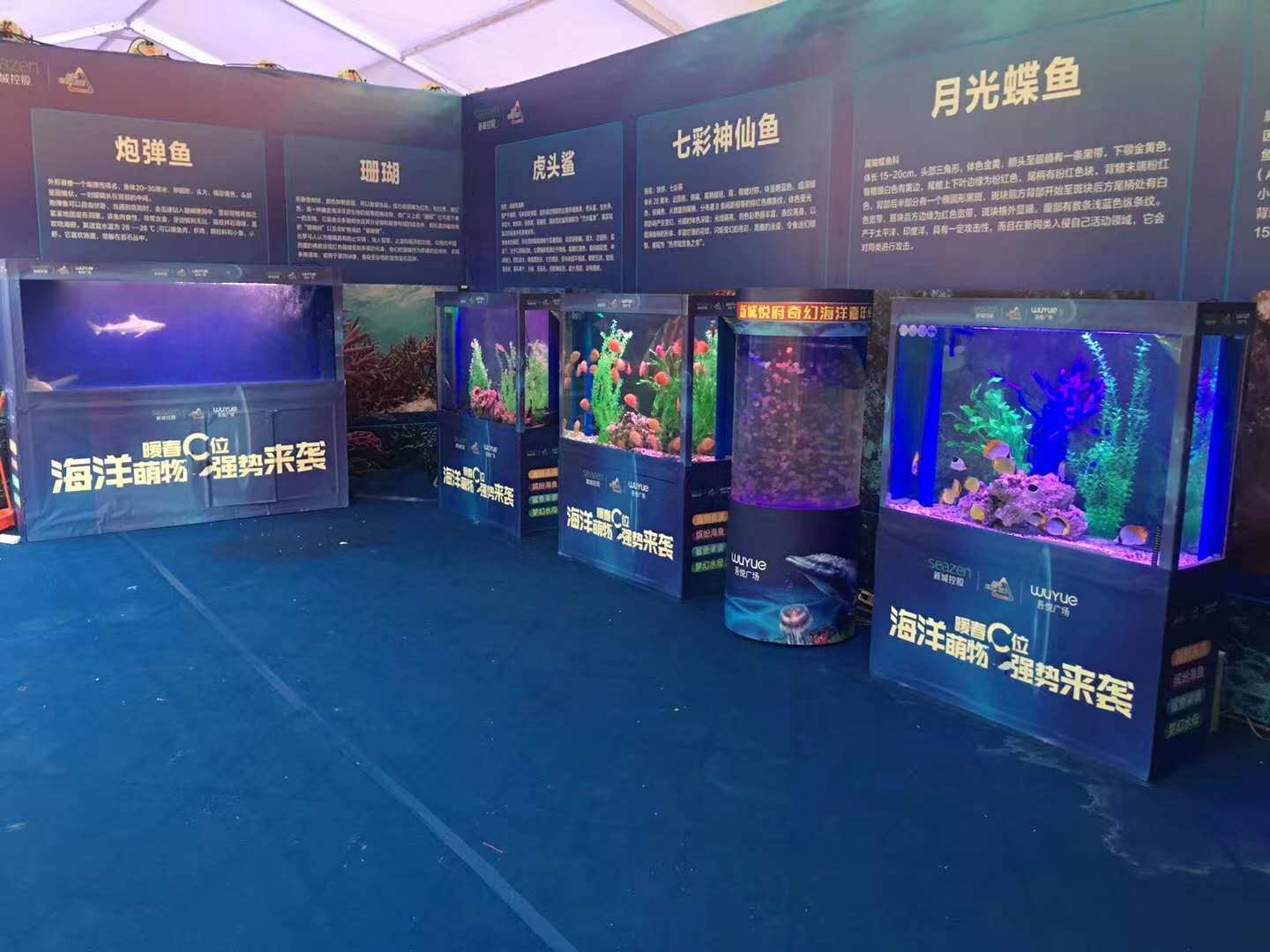 2021海洋生物展水母鱼缸展览租赁海洋展