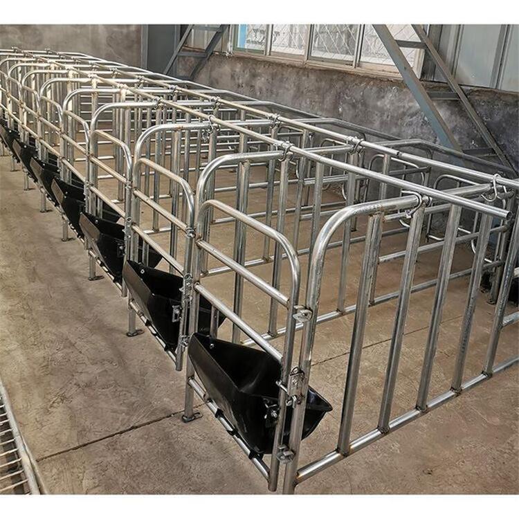 热镀锌母猪围栏生产批发