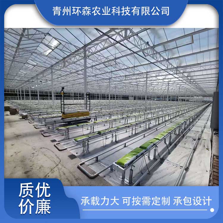 恒温玻璃温室大棚 建造玻璃温室大棚 蔬菜育苗大棚