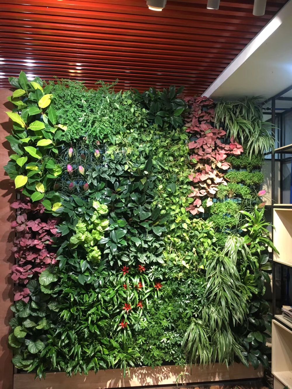 余姚植物墙仿真绿植墙设计