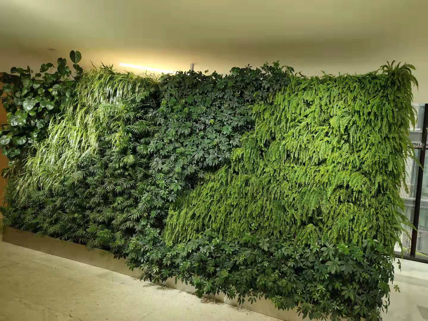植物墙价格-随手在家做了个植物墙，左邻右舍人人羡慕！