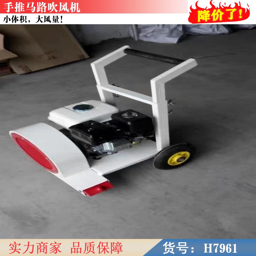 汽油马路吹风机 路面车载吹风机货号h7961