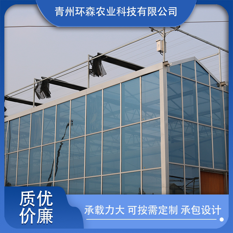 采用阳光板覆盖材料搭建温室大棚的采光保温蓄热好,耐风能力好,使用