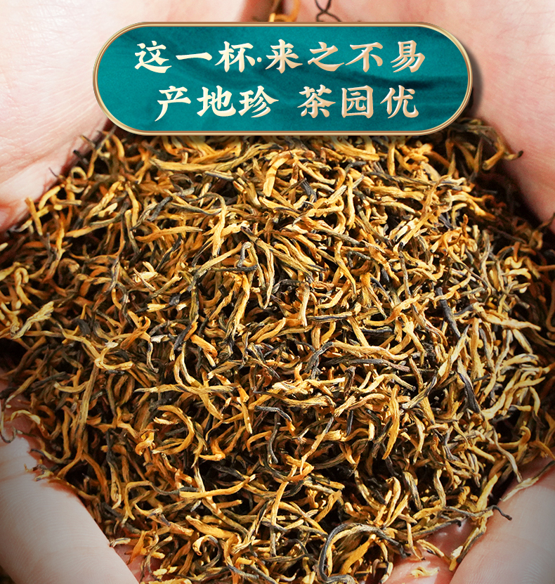 正宗武夷山特级金骏眉黄芽红茶蜜香茶叶新茶俊眉礼盒装500g世纪峰