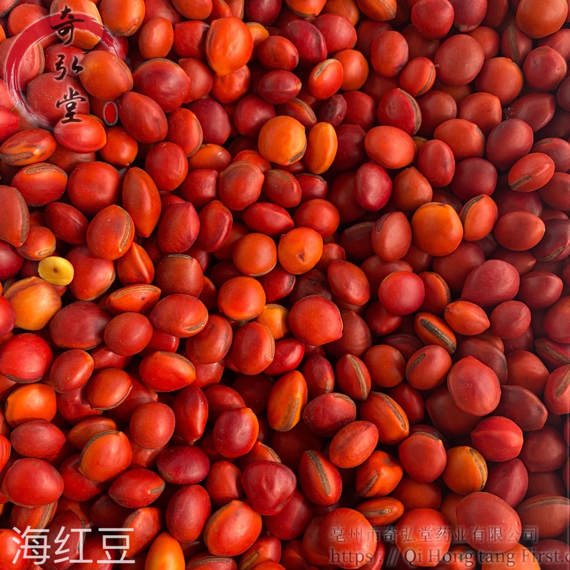 中药材海红豆海红豆的用法及用量