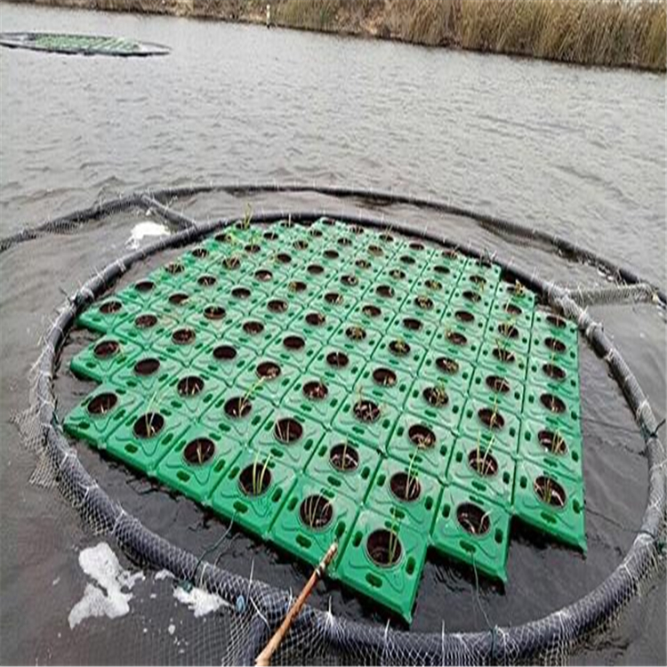 定做人工浮岛植物各种水生植物浮岛人工生态浮岛报价河道治理浮板园林