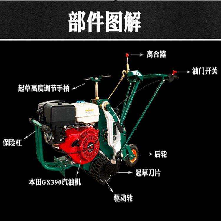 出售汽油草皮机 农林自动铲草机 维邦同款起草皮机