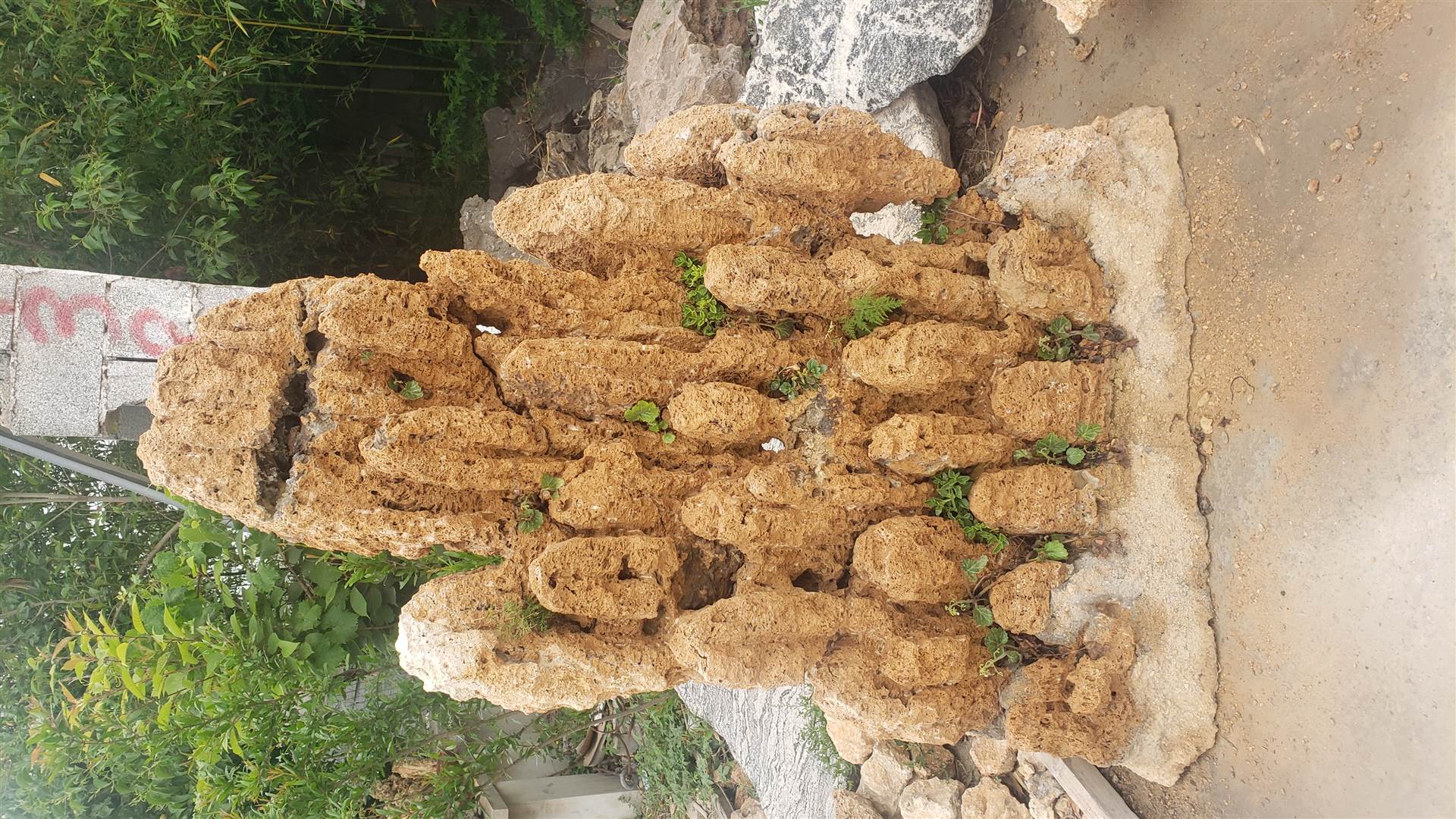 批发上水石水景吸水石吸水石假山上水石价格欢迎预定订购