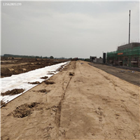 耐久加筋濾網(wǎng)b型 路易達(dá) 軟基加筋濾網(wǎng)A型 填埋場(chǎng)用加筋濾網(wǎng)