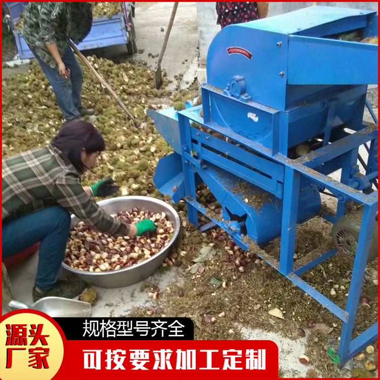 剥板栗机器 毛栗去皮机 毛栗去皮机厂家 免费运输