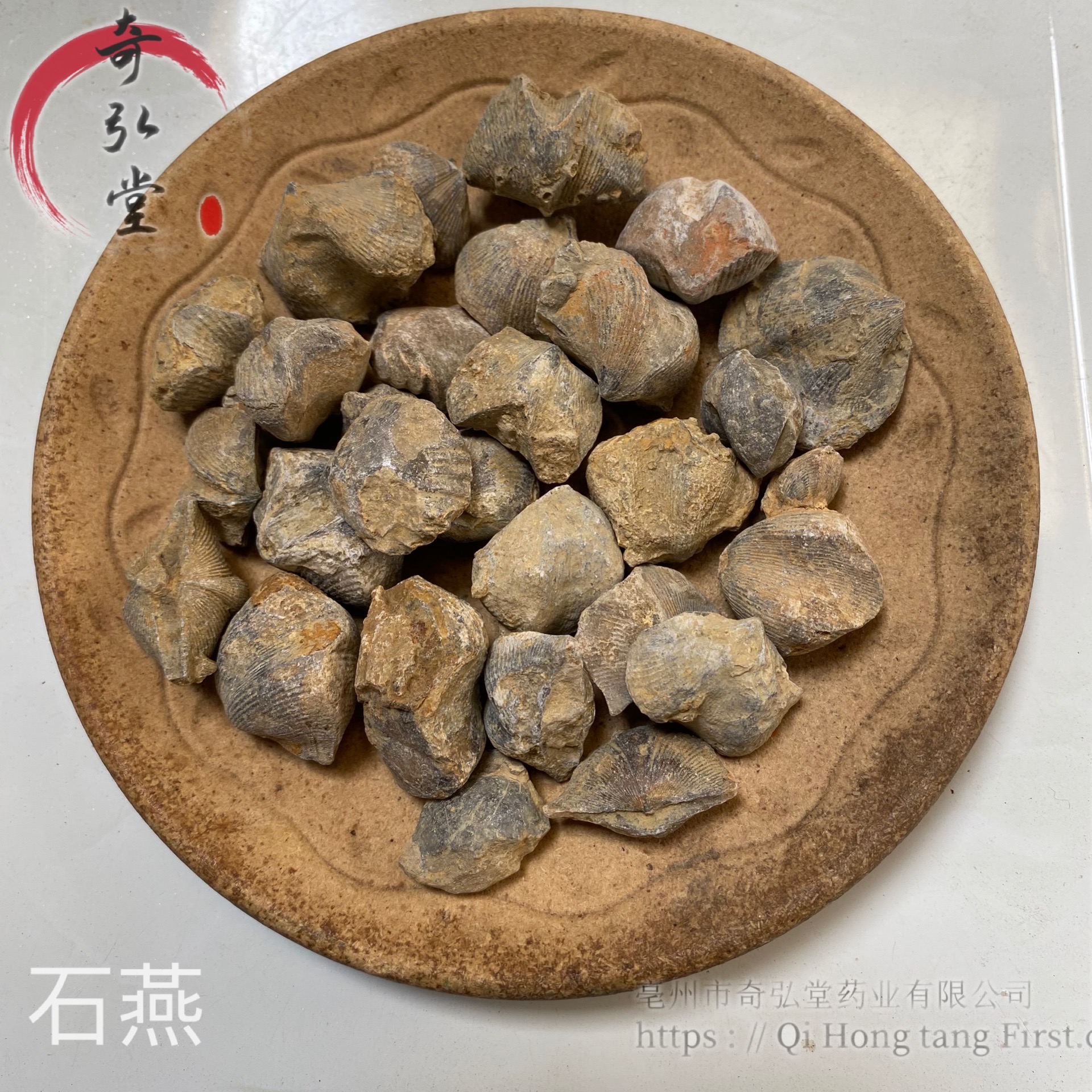 石燕拼音shí yàn别名石燕子,大石燕,燕子石来源药材基源:为古生代