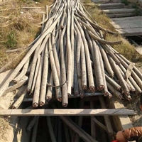 花都區電力電纜回收 電纜回收價格 廢線纜回收單位