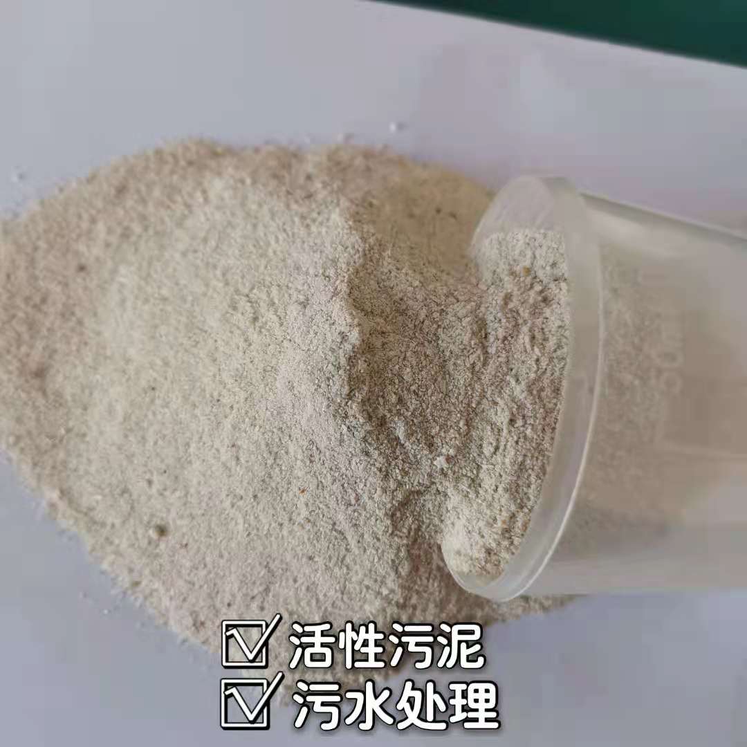 好氧活性污泥生活污水处理活性污泥废水处理