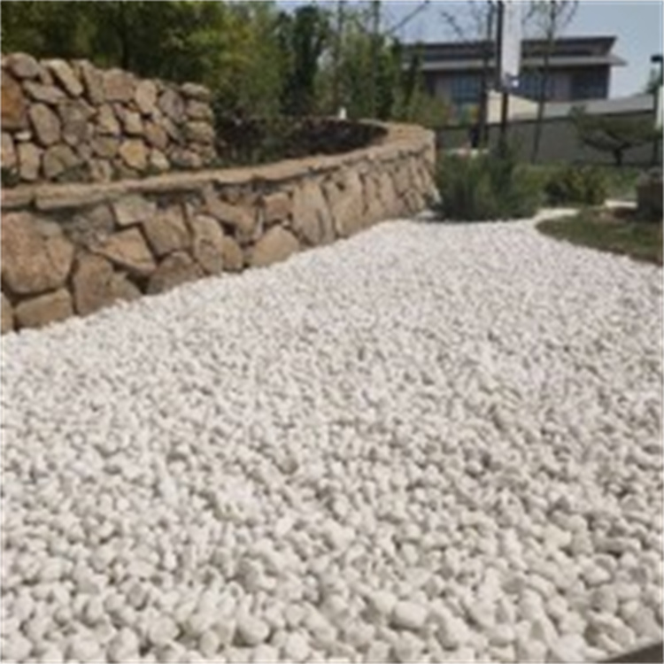 亿润白色鹅卵石 景观造景用白色鹅卵石 白石子
