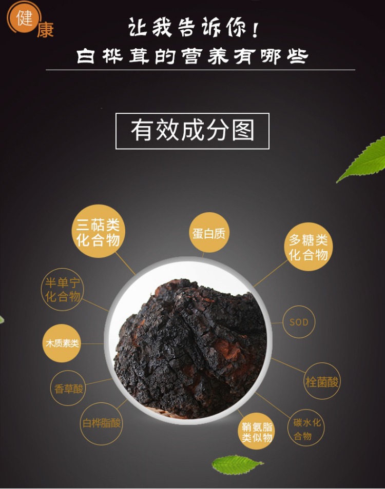 黑金桦树茸茶开发系统