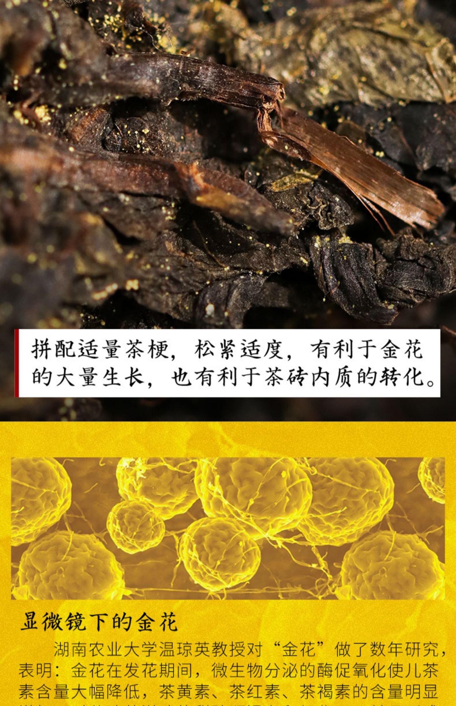 黑茶湖南安化白沙溪茯砖茶天尖茶正宗茯茶手筑天茯茶1kg