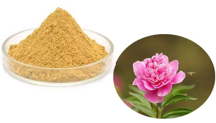芍药粉可定制生产植物浓缩速溶粉斯诺特生物