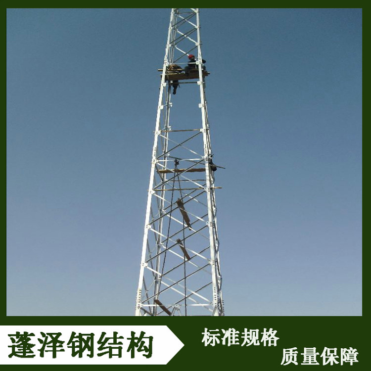 生产 安装10米gh钢管避雷塔 10米工艺避雷针塔 衡水蓬泽 实力厂家