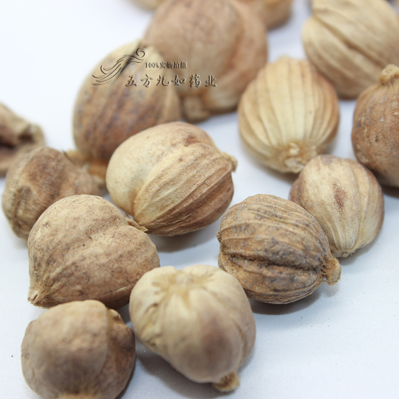 别名白豆蔻,圆豆蔻,原豆蔻,扣米.生于山沟阴湿处,我国多栽培于树荫下.