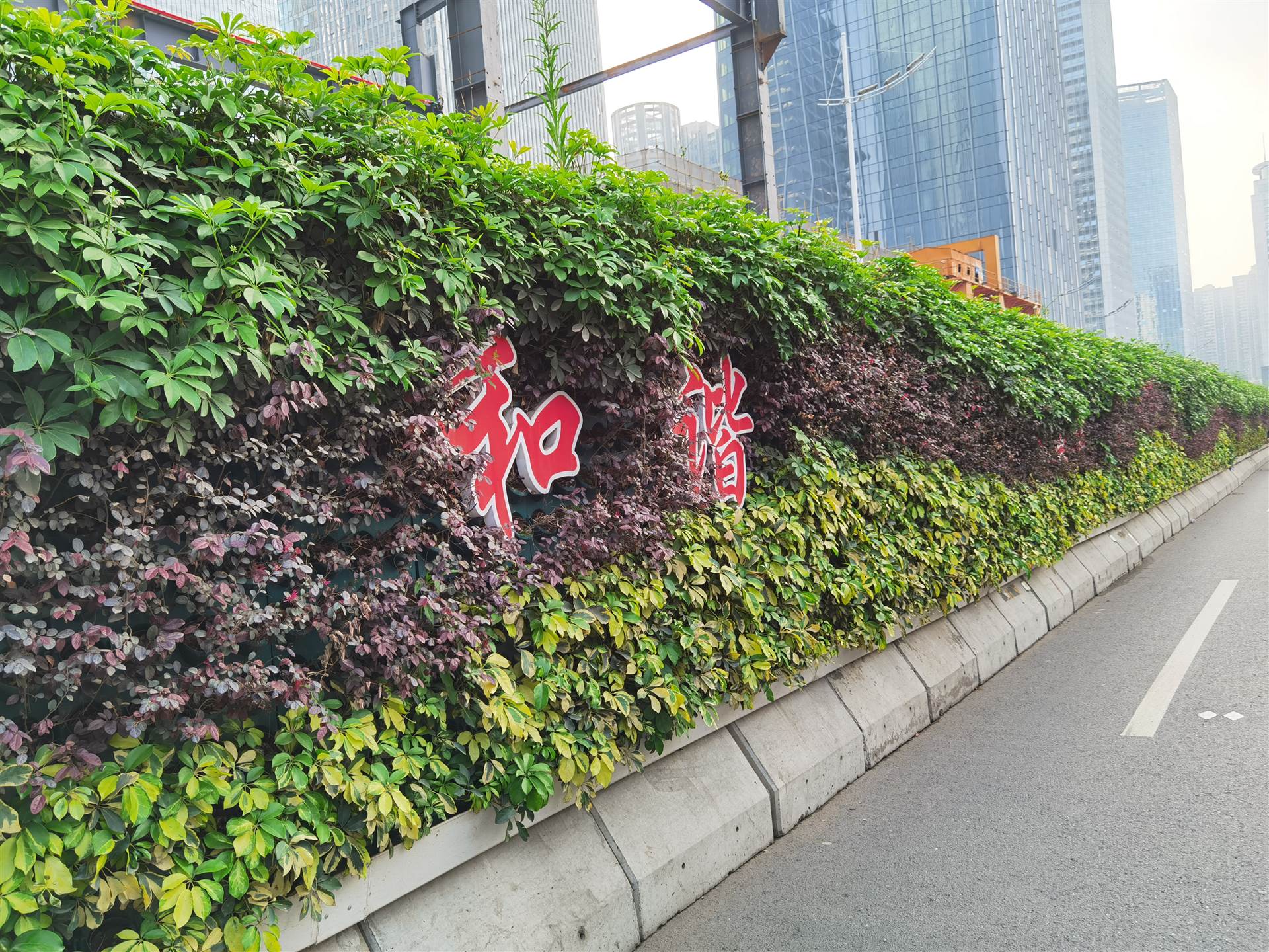 围挡绿化 围挡绿化厂家 植物围挡 植物墙围挡 绿植围挡 绿植墙围挡