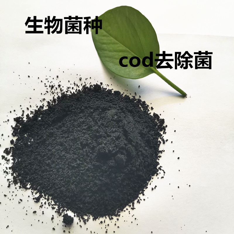 武清区微生物菌种公司-开碧源厂家