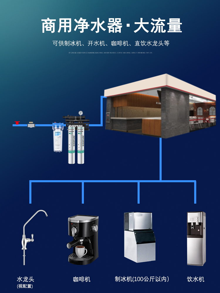 爱惠浦mc2双联净水器商用mc2奶茶店专用大流量直饮水机过滤咖啡