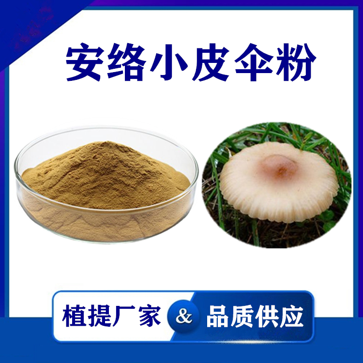 安络小皮伞粉水溶性安络小皮伞提取物厂家供应安络小皮伞多糖