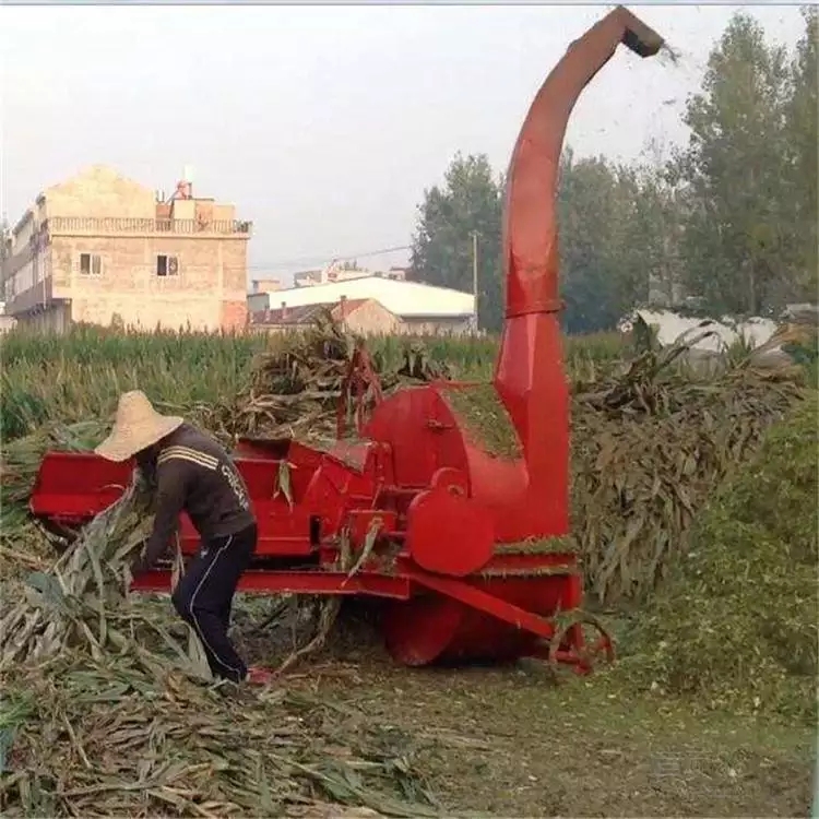 新款干湿秸秆铡草机 浙江5吨铡草揉搓机 干湿玉米秸秆铡草机